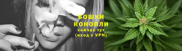 соль ск Балахна