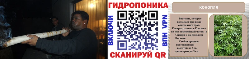 Канабис AK-47 Яблоновский